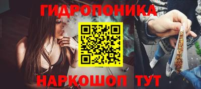 трава Лесосибирск
